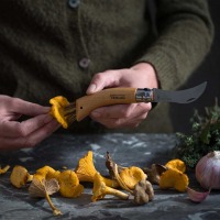 Couteau à champignon numéro 8 