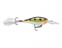 Yellow perch