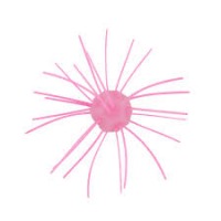 Bubble gum