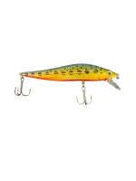 BROOK TROUT