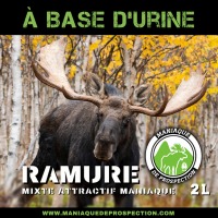 Mixte attractif maniaque ramure
