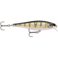 Yellow perch