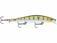 Yellow perch