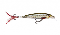 Live Roach