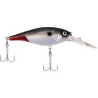 Firetail Redtail