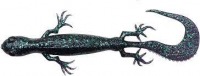 Black-blue